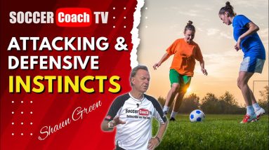 SoccerCoachTV - Attacking & Defensive Instincts.