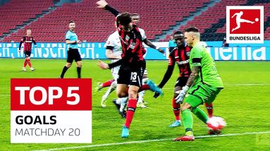 Top 5 Goals Matchday 20 - Alario Backheel Goal, Kramarić Volley and Much More