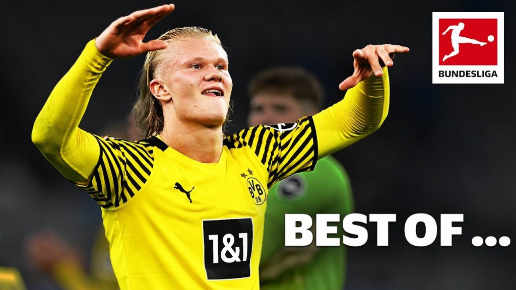 Best Of ✨  Erling Haaland