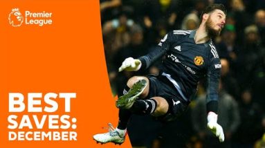 BEST Premier League Saves | David de Gea, Ederson, José Sá & more! | December