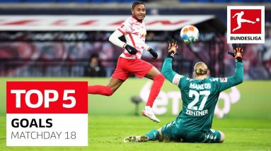 Top 5 Goals • Nkunku, Lewandowski & More | Matchday 18 - 2021/22