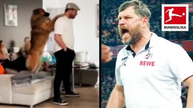 How a Dog Keeps a Coach Calm at Home • Steffen Baumgart