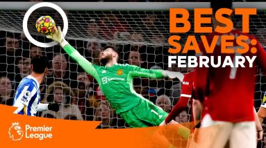BEST Premier League Saves | De Gea, Foster, Sanchez & more | February