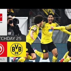 Lucky Punch! BVB Stay in Title Race | 1. FSV Mainz 05 - Borussia Dortmund 0-1 | All Goals | MD 25