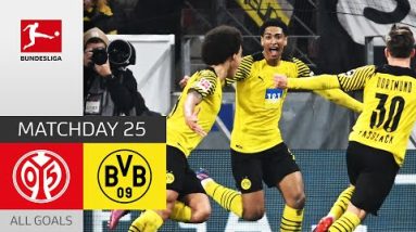 Lucky Punch! BVB Stay in Title Race | 1. FSV Mainz 05 - Borussia Dortmund 0-1 | All Goals | MD 25