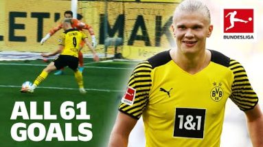 61 Goals in Only 65 Games | Erling Haaland - All Bundesliga Goals