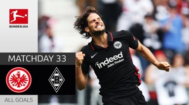 Paciencia Dreamgoal! | Eintracht Frankfurt - M'gladbach 1-1 | All Goals | MD 33 – Bundesliga