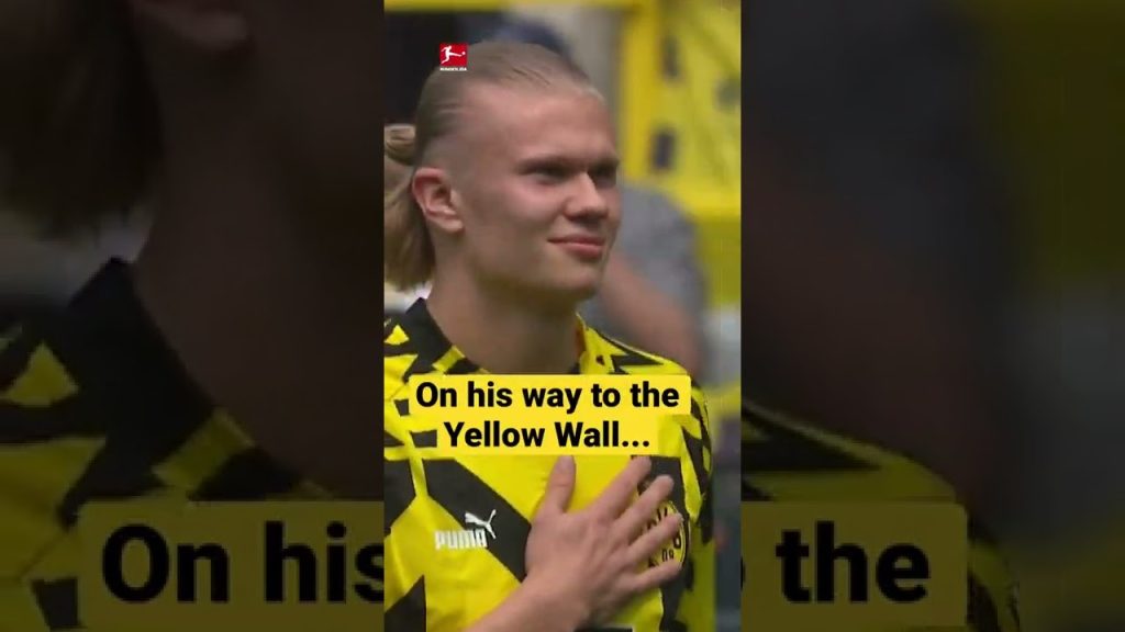THANK YOU, Erling! 👏🖤💛