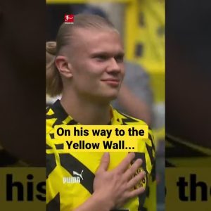 THANK YOU, Erling! 👏🖤💛