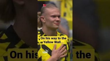 THANK YOU, Erling! 👏🖤💛