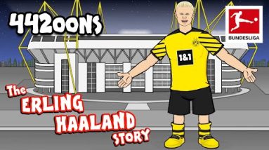 The Story of Erling HAALAND - Powered by 442oons