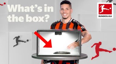 WHAT'S IN THE BOX? • Paulinho, Gulácsi, Forsberg & Co