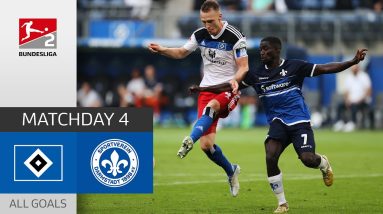Card game with better ending for Darmstadt! | HSV - Darmstadt 1-2 | All Goals | MD 5 – BL 2 - 22/23