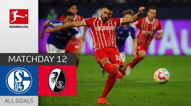 Grifo Scores Twice! | FC Schalke 04 - SC Freiburg 0-2 | All Goals | Matchday 12 – Bundesliga 2022/23