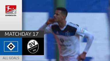 Glatzel scores twice | Hamburger SV - SV Sandhausen 4-2 | All Goals | MD 17 – Bundesliga 2 - 2022/23