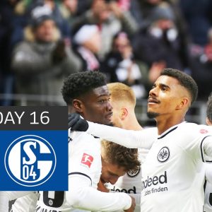 Frankfurt jumps to 2nd Place | Eintracht Frankfurt - FC Schalke 3-0 | All Goals | MD 16 – BL 22/23