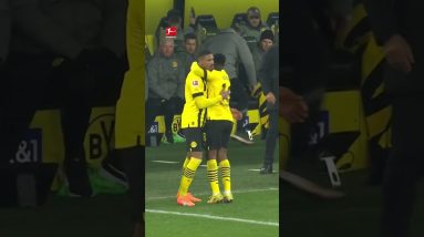 Emotional Comeback by Dortmund's Superstar Haller! 💪❤️