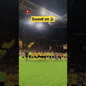 Just FEEL It… 😳🔊 #ThisIsOurFootball
