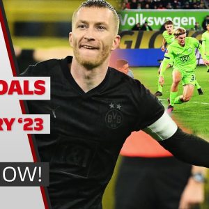 BEST GOALS in February | Musiala, Reus or…? – Goal of the Month!