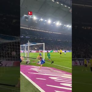 Goal Celebration FAIL vs BVB 🫣😅