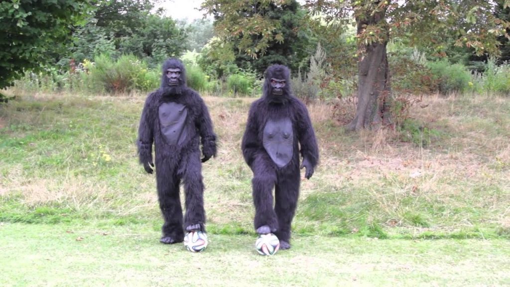 Basically a Gorilla doing unbelievable Football Skills!!! 5 1726997492 maxresdefault