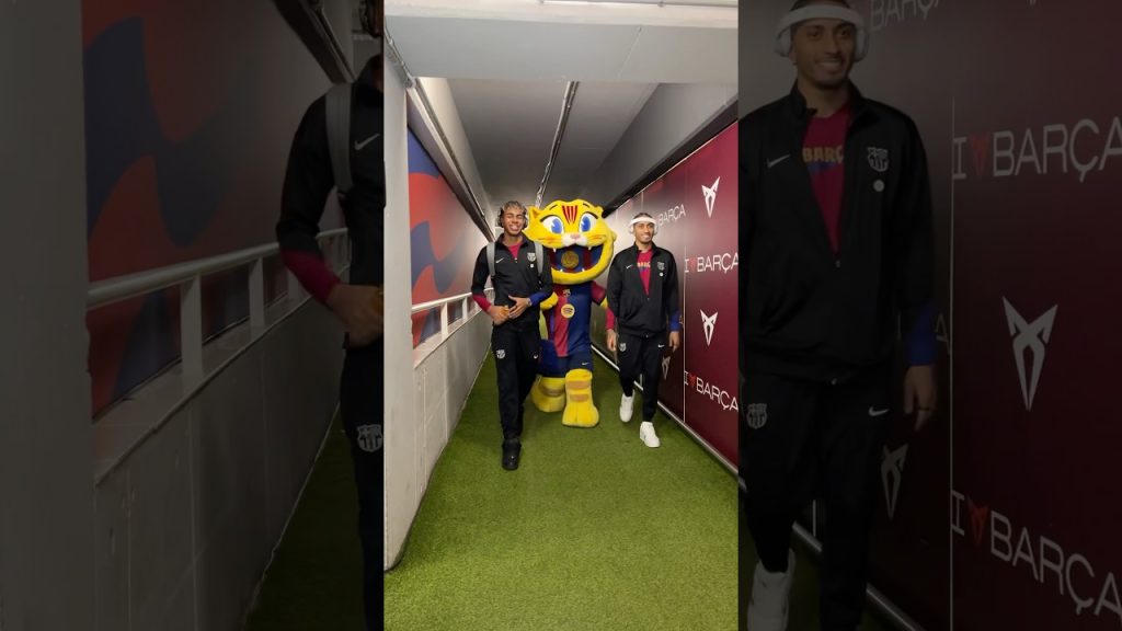 Cat is in da house 😽 #fcbarcelona #shorts #cat 6 1738006654 maxresdefault