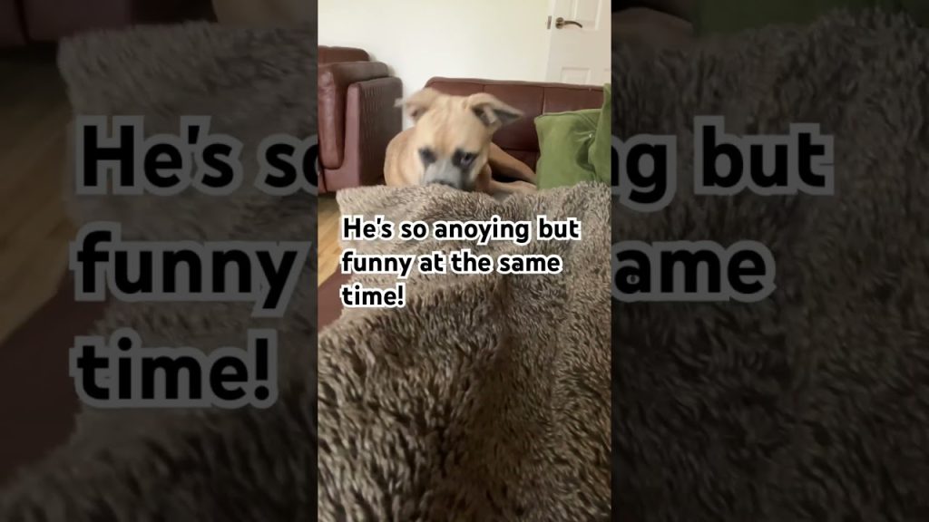 1754820574 maxresdefault