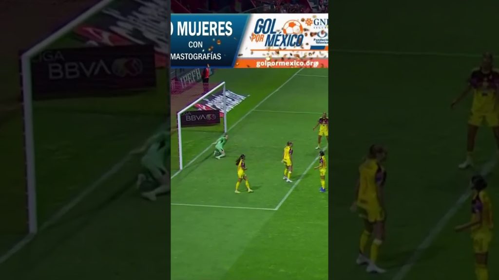 REACCIONAN LAS LOCALES #shorts 7 1778314479 maxresdefault