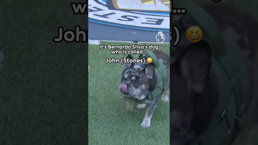 1779788639 maxresdefault